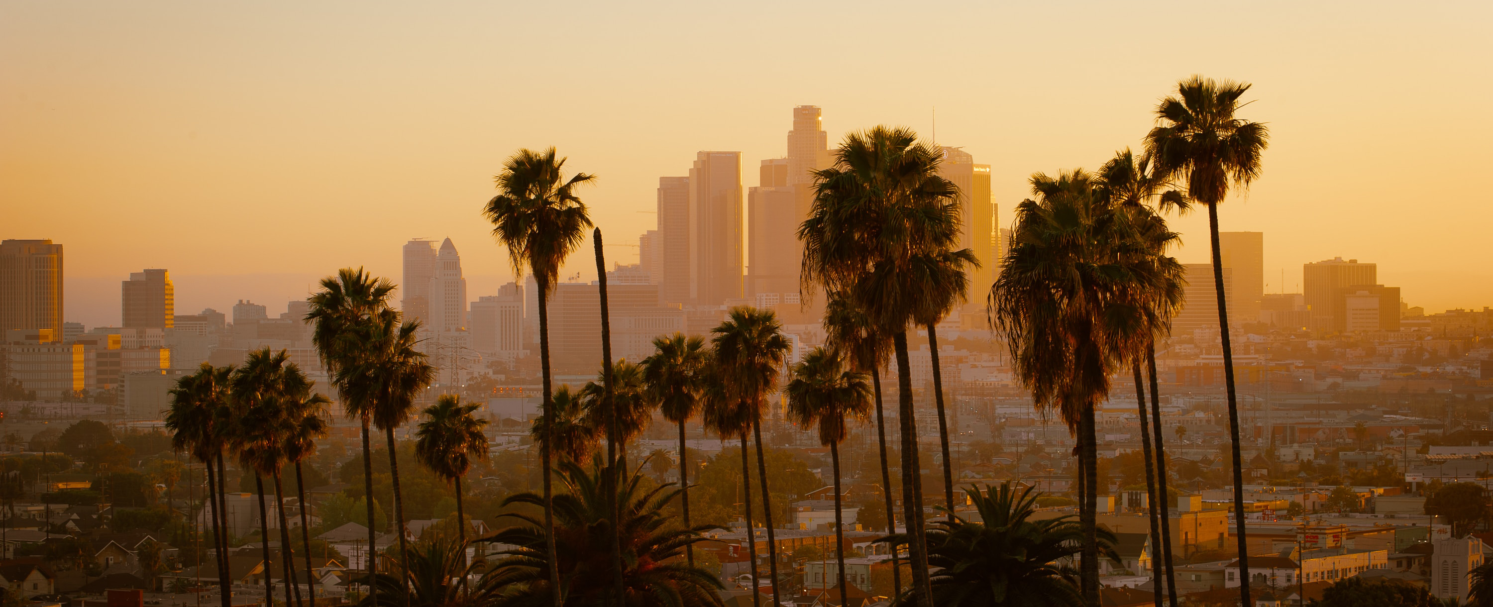 An aerial view of the LA skyline at sunset. The sky is a sherbet orange, and palm trees stand in front of the camera in the middle distance.